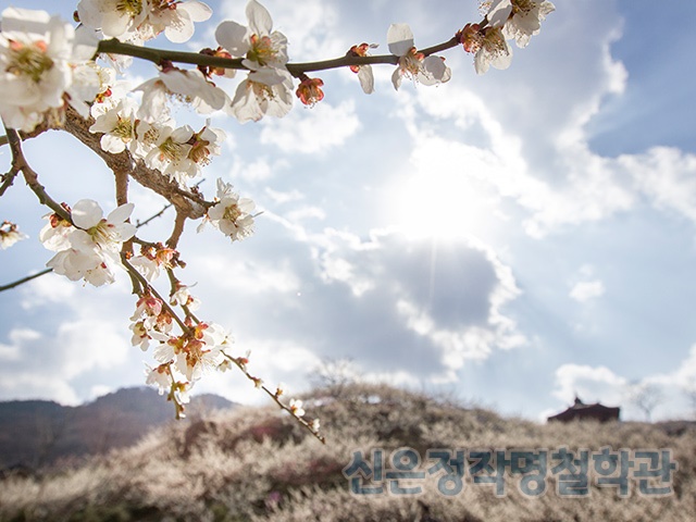 신은정작명철학관 PC 이미지 841754