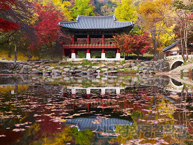 신은정작명철학관 PC 이미지 841750