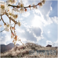 신은정작명철학관 PC 갤러리 13