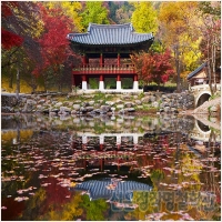 신은정작명철학관 PC 갤러리 17